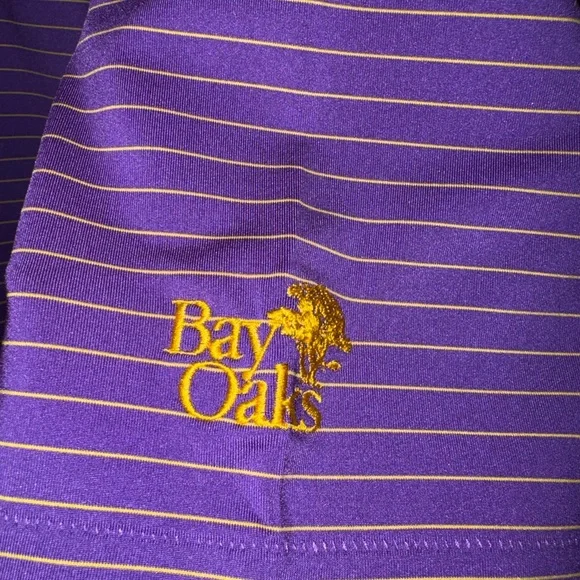 HL Sport Performance Luxury
Beautiful, Purple Striped Men's Polo Shirt - Picture 3 of 4